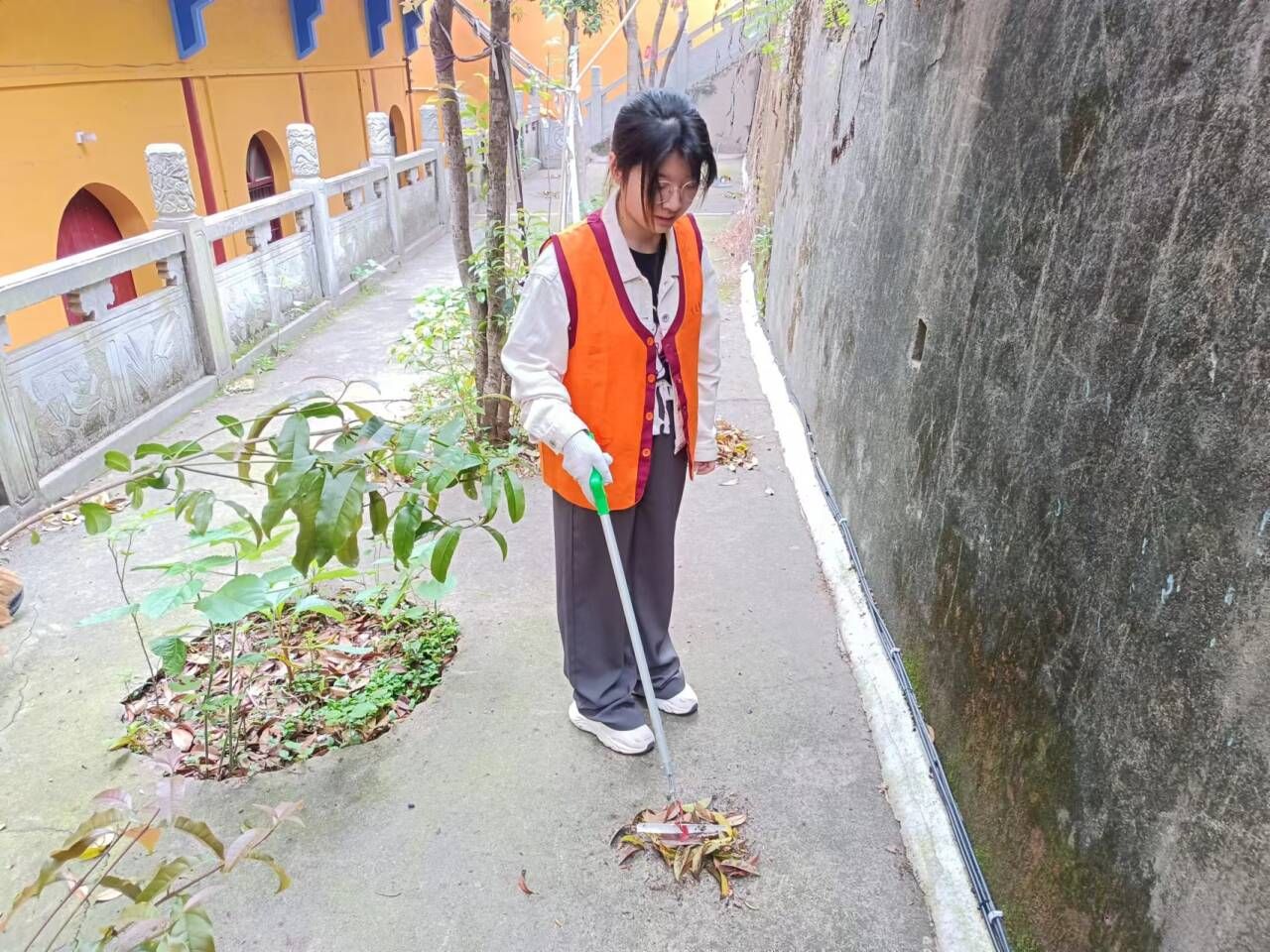 bevictor伟德官网